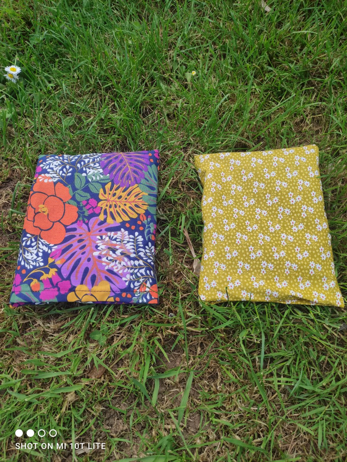 Image contenant des objets